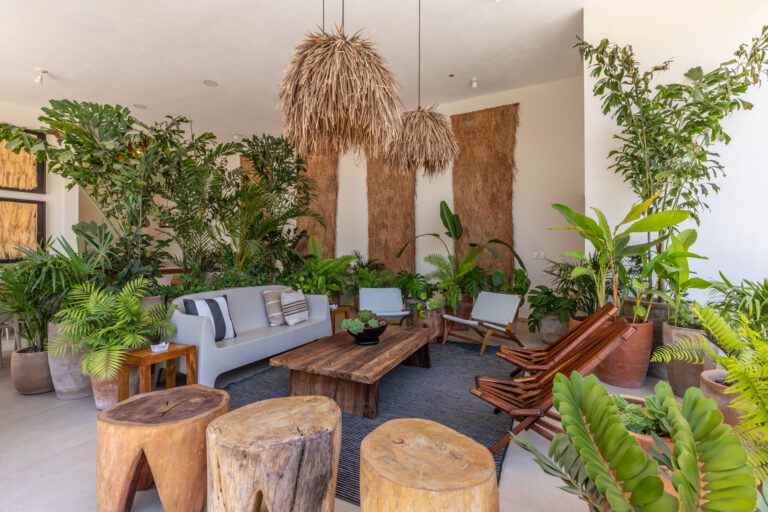 terraza01